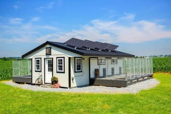 Indoor climate-controlled runs at Dogwood Boarding Kennels