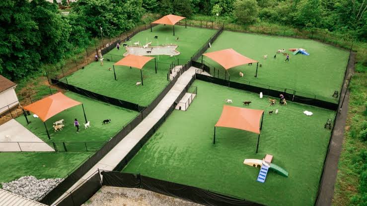 Separate fenced yards at Dogwood Boarding Kennels